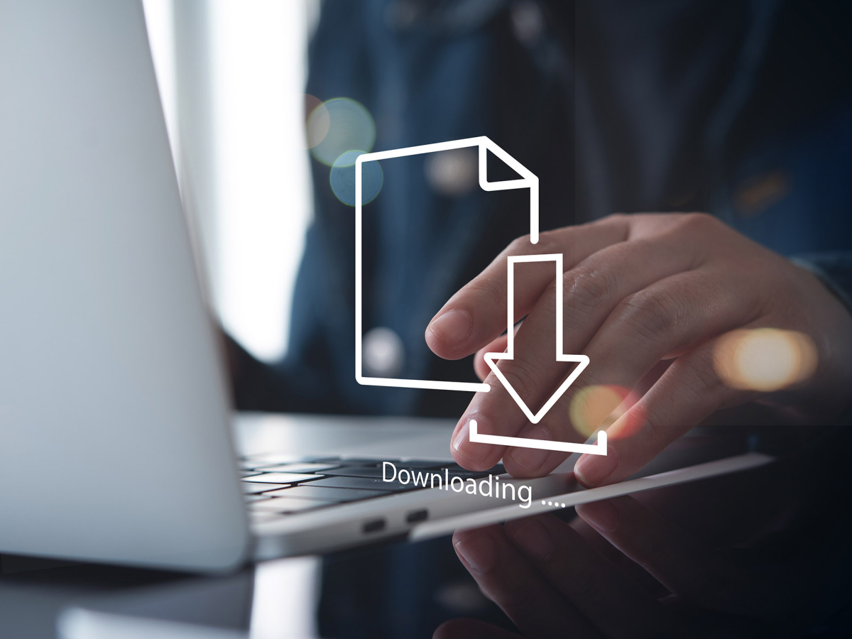 Downloadbereich